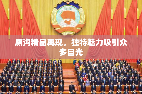 厕沟精品再现，独特魅力吸引众多目光