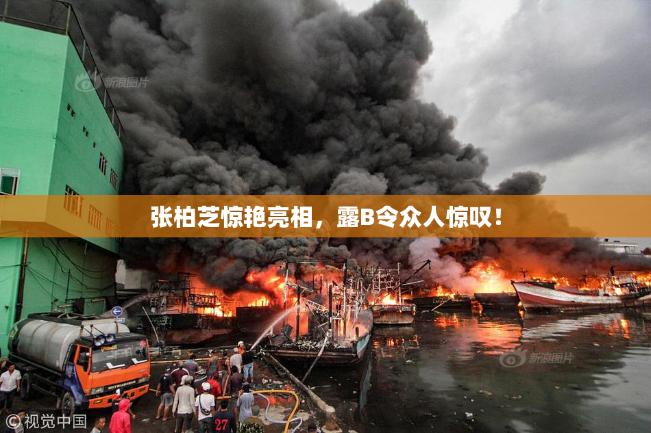 张柏芝惊艳亮相，露B令众人惊叹！