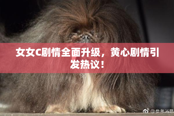 女女C剧情全面升级，黄心剧情引发热议！