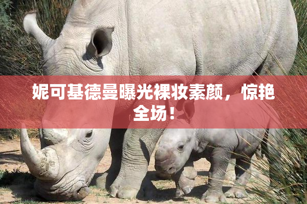 妮可基德曼曝光裸妆素颜，惊艳全场！