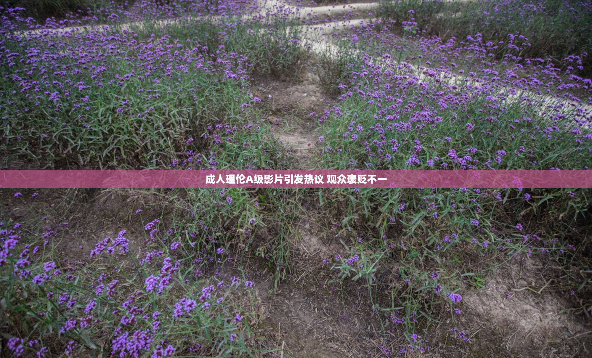 成人理伦A级影片引发热议 观众褒贬不一