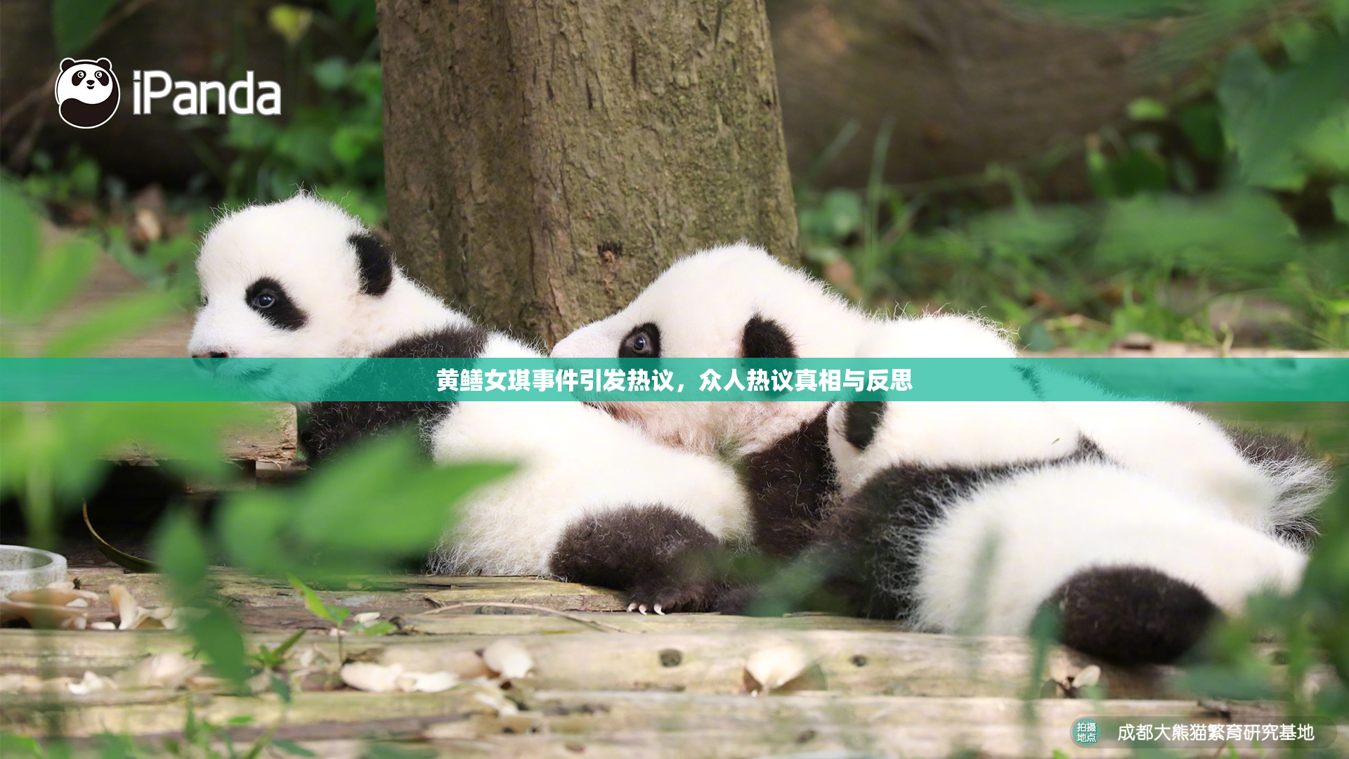 黄鳝女琪事件引发热议，众人热议真相与反思