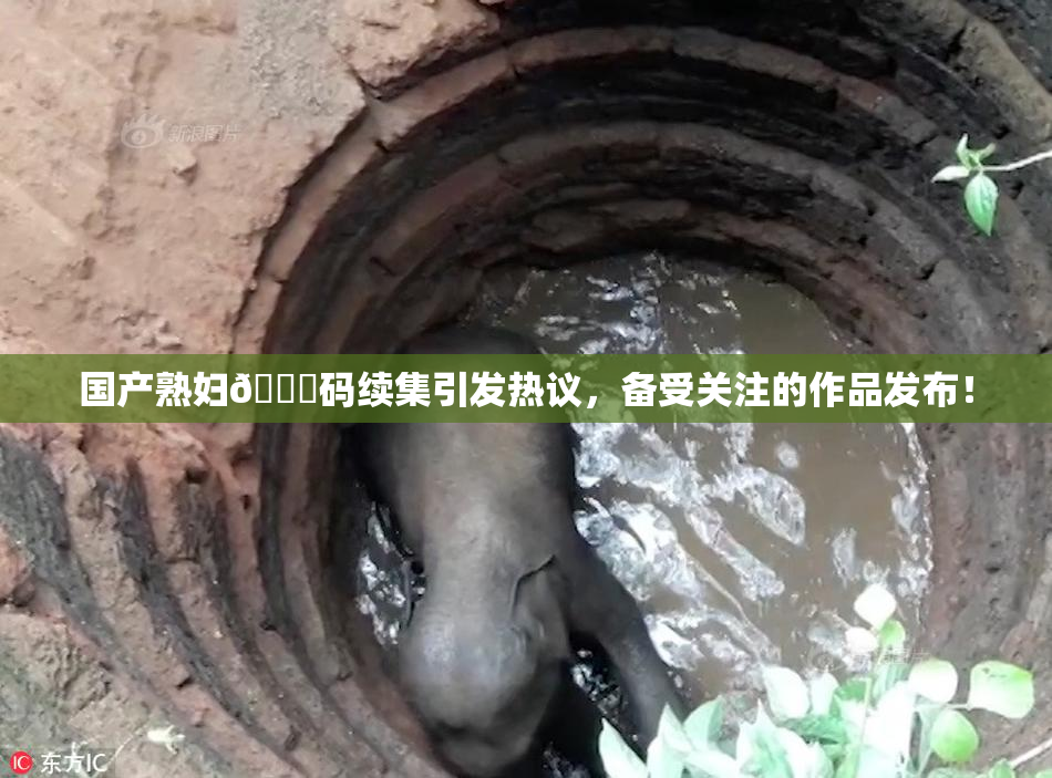 国产熟妇🈚码续集引发热议，备受关注的作品发布！