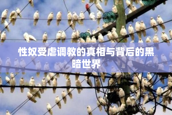 性奴受虐调教的真相与背后的黑暗世界