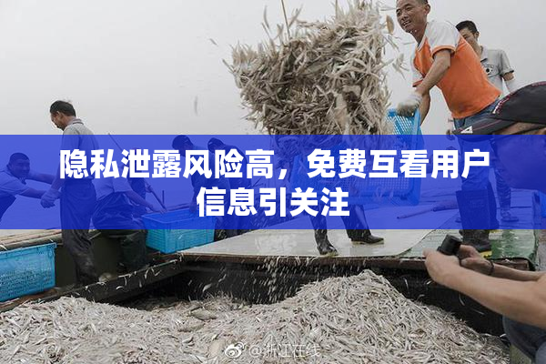 隐私泄露风险高，免费互看用户信息引关注