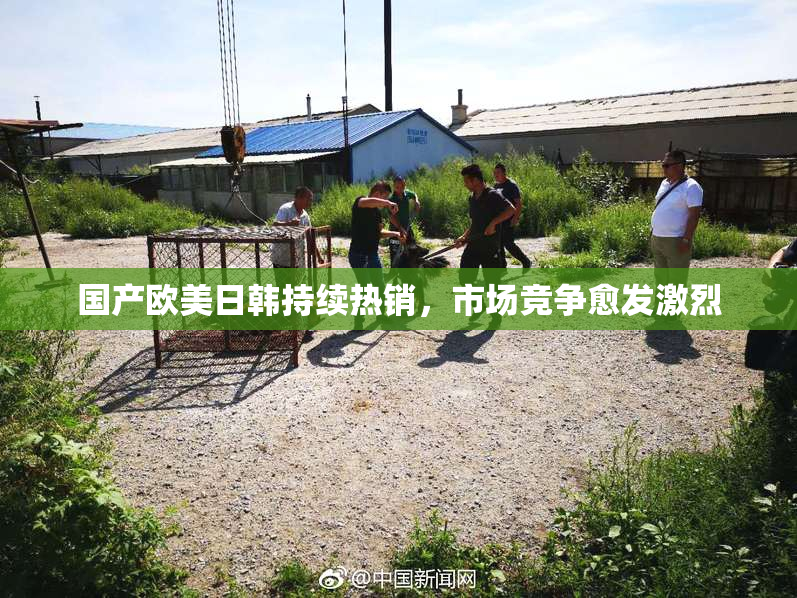 国产欧美日韩持续热销，市场竞争愈发激烈