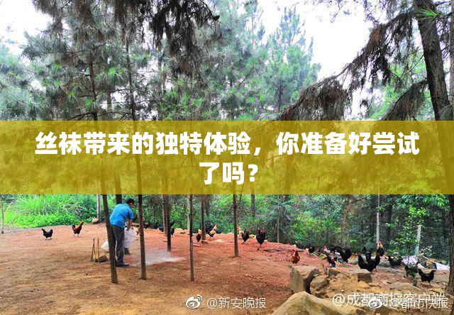 丝袜带来的独特体验，你准备好尝试了吗？