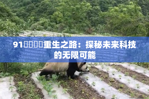 91❌‌❌‌重生之路：探秘未来科技的无限可能