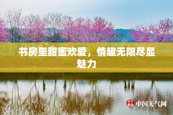 书房里甜蜜欢爱，情趣无限尽显魅力
