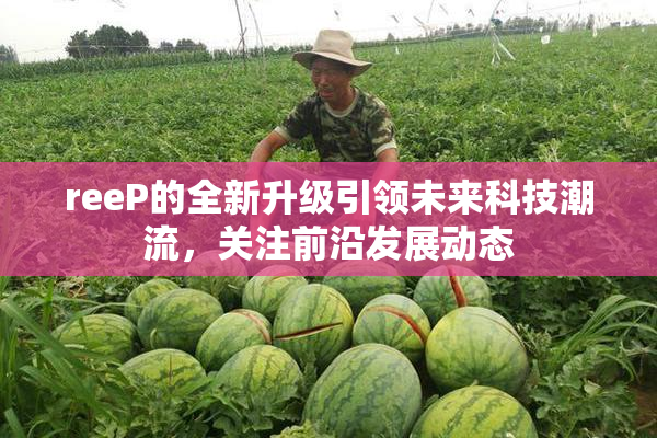 reeP的全新升级引领未来科技潮流，关注前沿发展动态