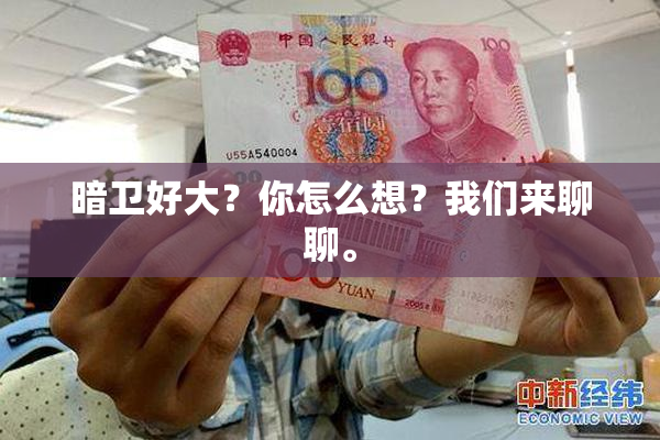 暗卫好大？你怎么想？我们来聊聊。