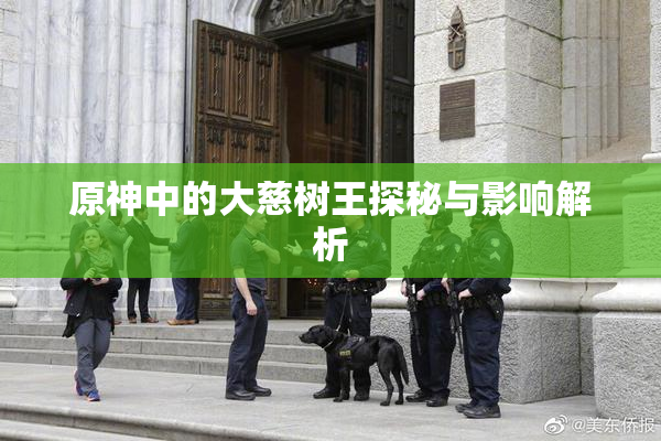 原神中的大慈树王探秘与影响解析