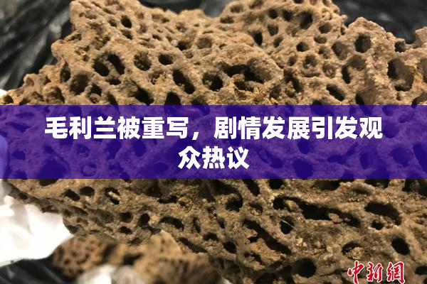 毛利兰被重写，剧情发展引发观众热议