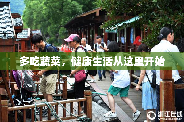 多吃蔬菜，健康生活从这里开始