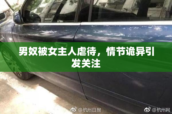 男奴被女主人虐待，情节诡异引发关注