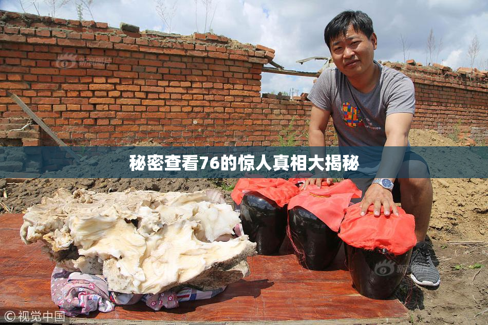 秘密查看76的惊人真相大揭秘