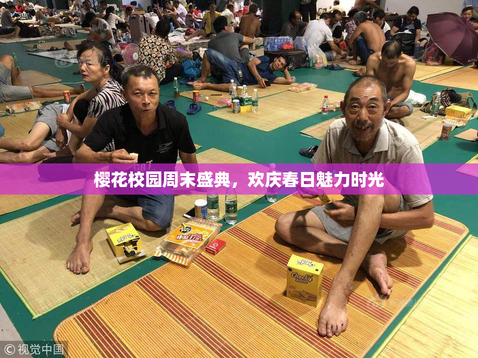 樱花校园周末盛典，欢庆春日魅力时光