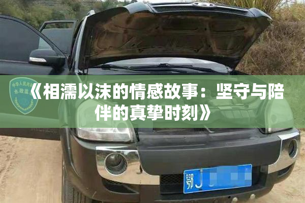 《相濡以沫的情感故事：坚守与陪伴的真挚时刻》