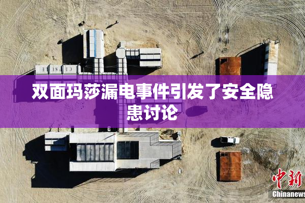 双面玛莎漏电事件引发了安全隐患讨论