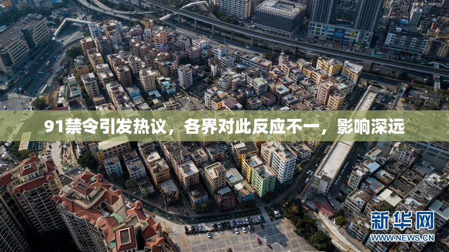 91禁令引发热议，各界对此反应不一，影响深远