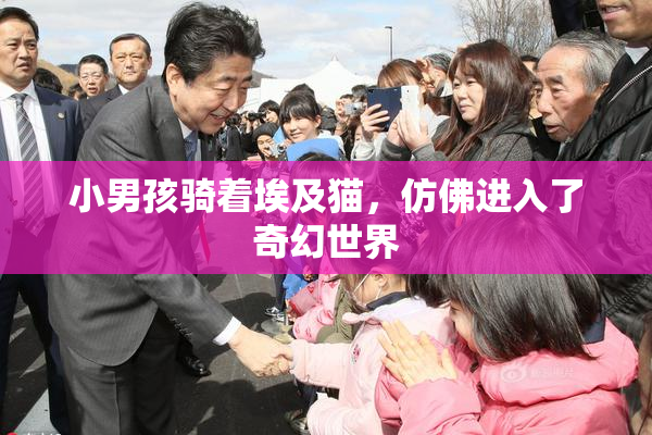 小男孩骑着埃及猫，仿佛进入了奇幻世界