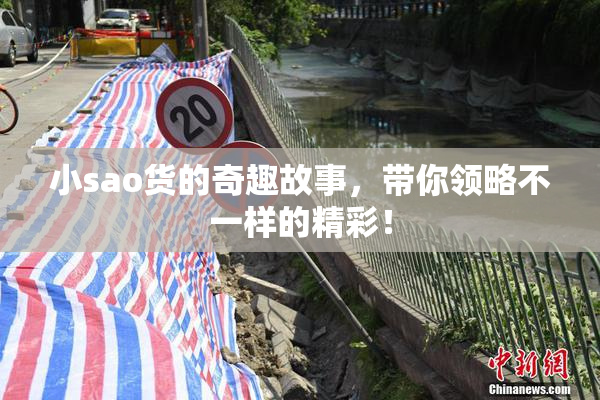小sao货的奇趣故事，带你领略不一样的精彩！