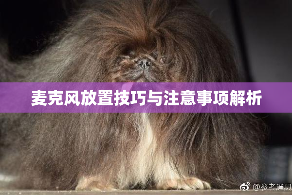 麦克风放置技巧与注意事项解析