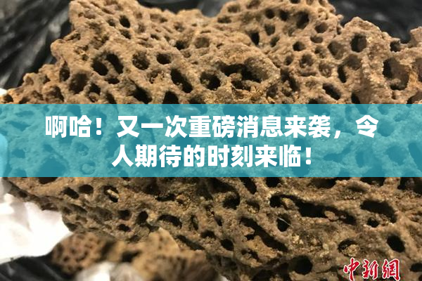 啊哈！又一次重磅消息来袭，令人期待的时刻来临！