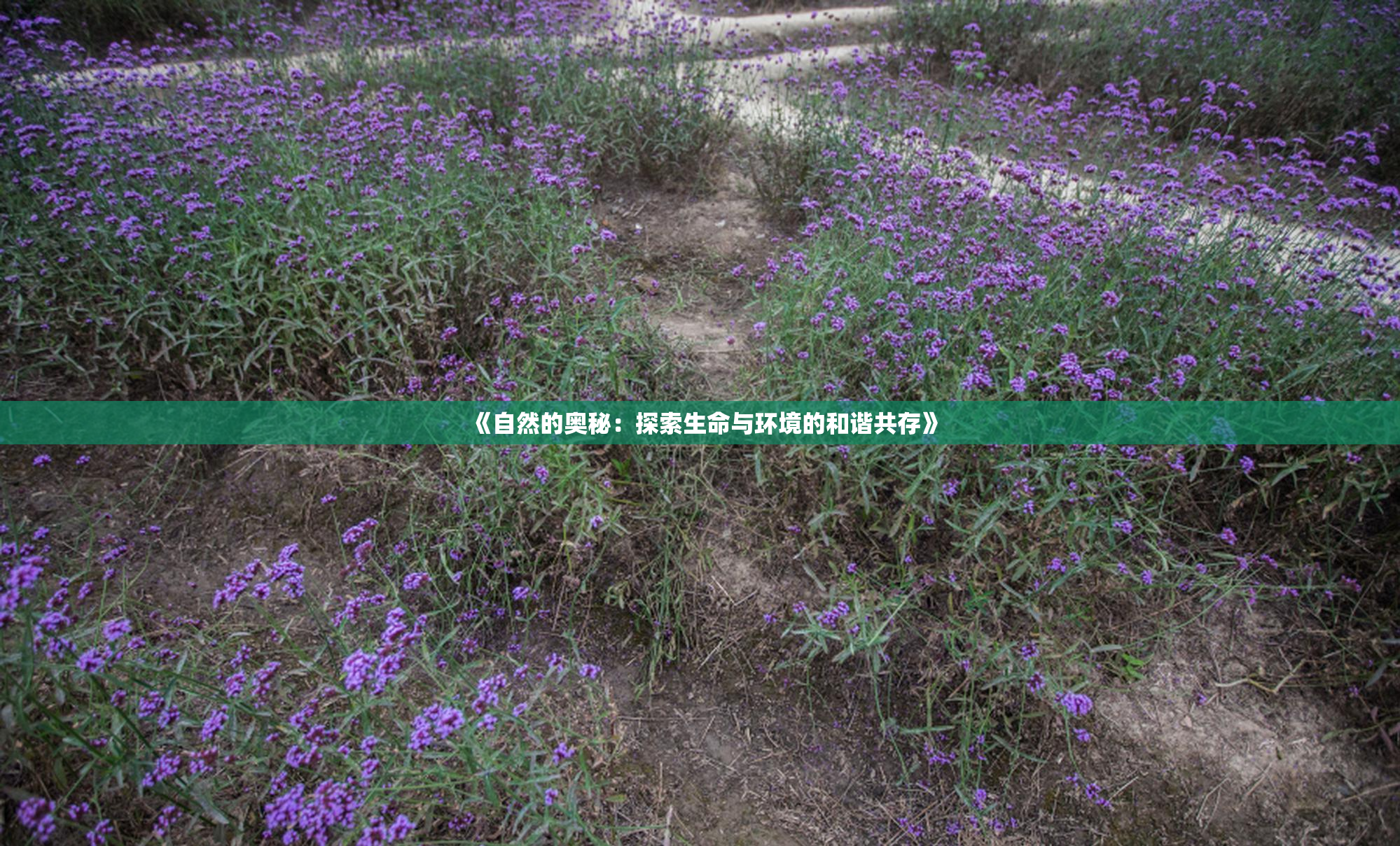 《自然的奥秘：探索生命与环境的和谐共存》
