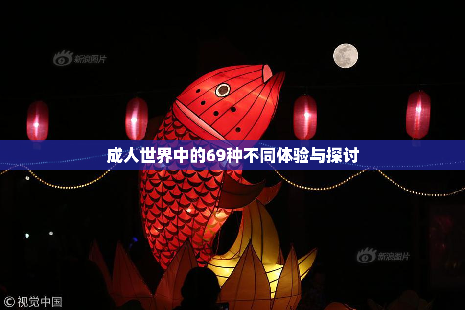 成人世界中的69种不同体验与探讨