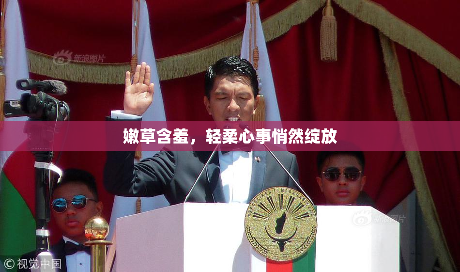 嫩草含羞，轻柔心事悄然绽放