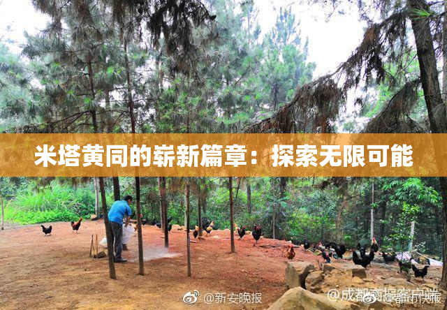 米塔黄同的崭新篇章：探索无限可能