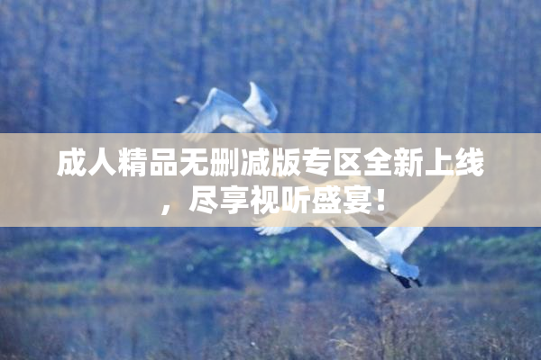 成人精品无删减版专区全新上线，尽享视听盛宴！