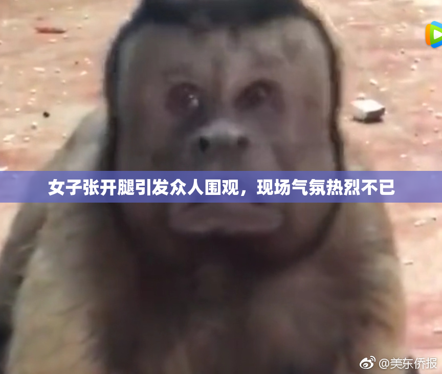 女子张开腿引发众人围观，现场气氛热烈不已