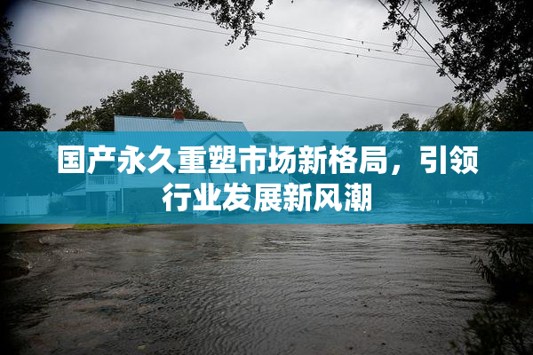 国产永久重塑市场新格局，引领行业发展新风潮