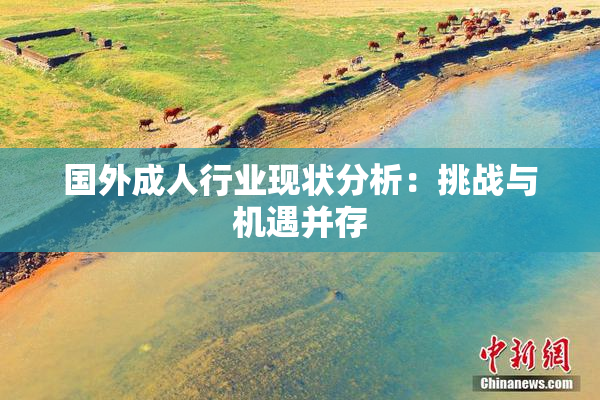 国外成人行业现状分析：挑战与机遇并存