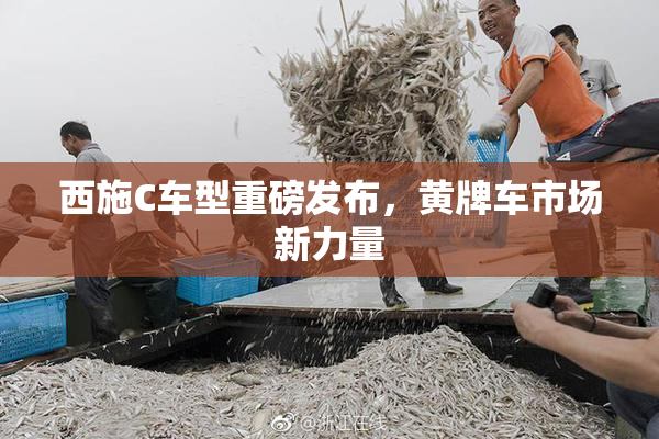 西施C车型重磅发布，黄牌车市场新力量
