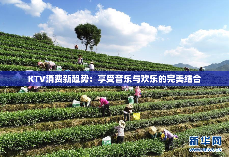 KTV消费新趋势：享受音乐与欢乐的完美结合