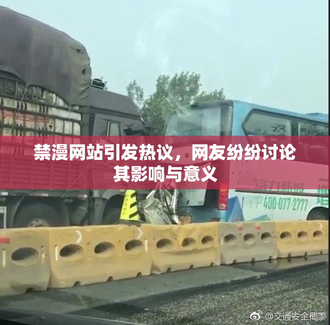 禁漫网站引发热议，网友纷纷讨论其影响与意义