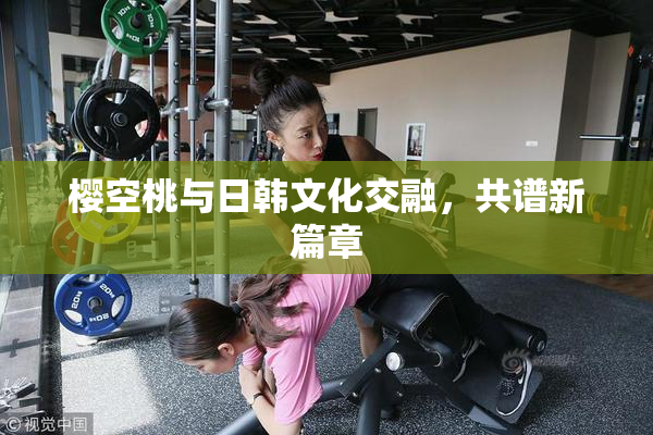 樱空桃与日韩文化交融，共谱新篇章