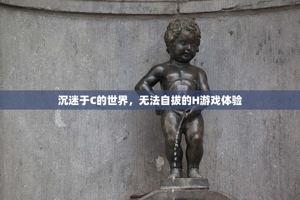 沉迷于C的世界，无法自拔的H游戏体验