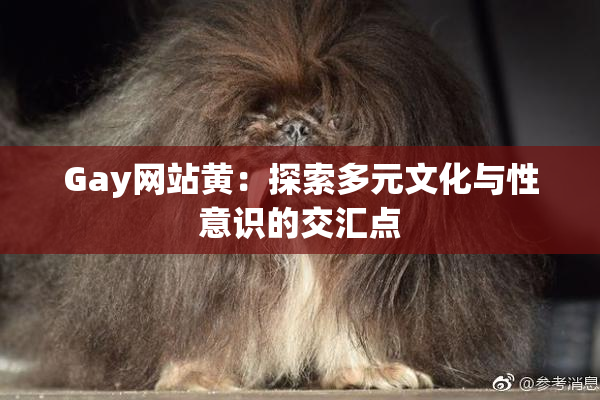 Gay网站黄：探索多元文化与性意识的交汇点