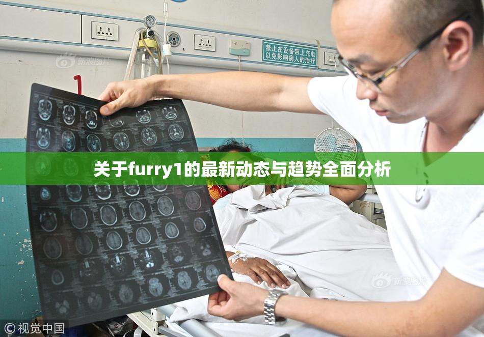关于furry1的最新动态与趋势全面分析