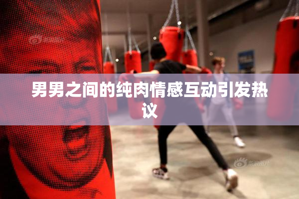 男男之间的纯肉情感互动引发热议