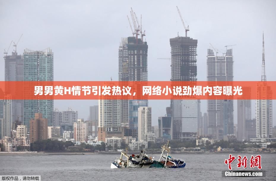男男黄H情节引发热议，网络小说劲爆内容曝光