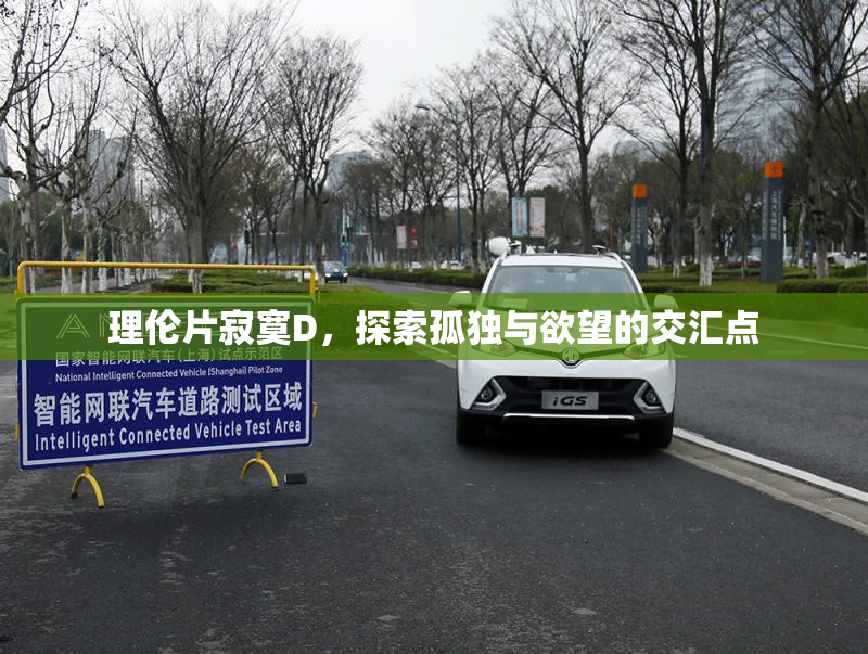 理伦片寂寞D，探索孤独与欲望的交汇点