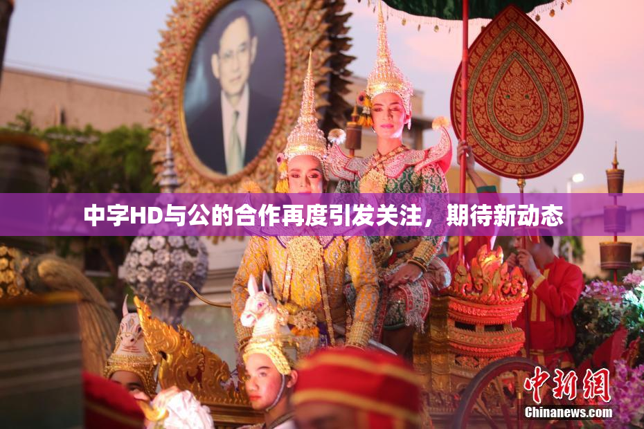中字HD与公的合作再度引发关注，期待新动态