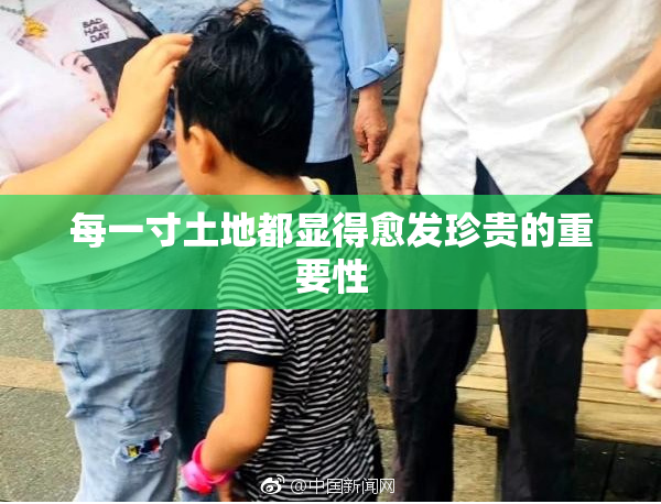 每一寸土地都显得愈发珍贵的重要性