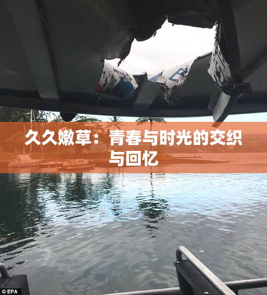 久久嫩草：青春与时光的交织与回忆