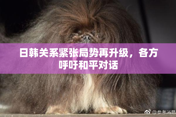 日韩关系紧张局势再升级，各方呼吁和平对话